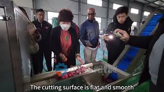 Fully automatic onion processing production line