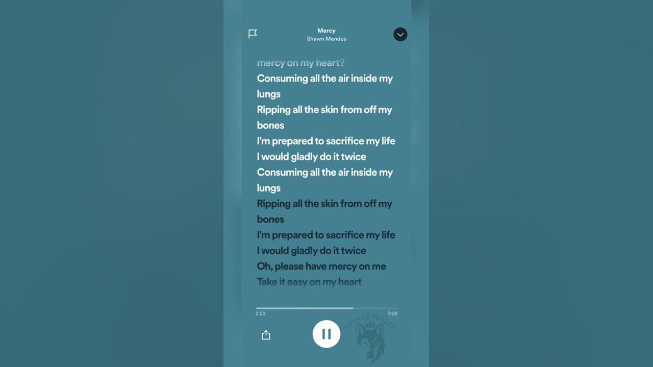 Song: (Mercy) By (Shawn Mendes) #shorts #spotify