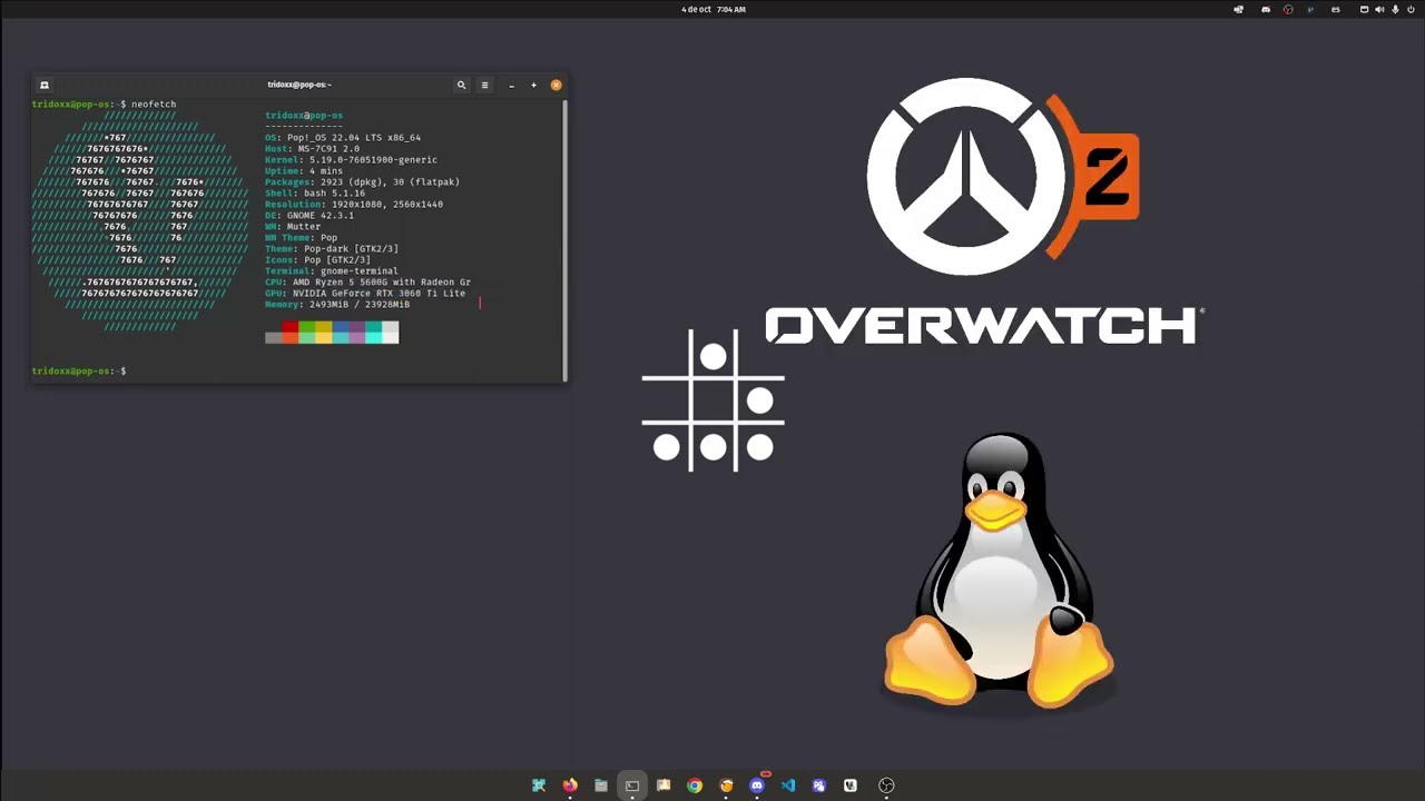 Bug exibição Overwatch 2 via bottles - Linux - Diolinux Plus