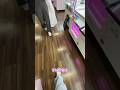 声かけられたのでプレゼント！#クレーンゲーム #ufoキャッチャー #ぬいぐるみ #ポケモン #clawmachine
