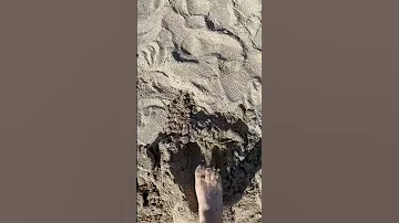 CRUSHING SAND CASTLE WITH FOOT #satisfying #asmr #sand #beach #vacay #wpb #feet