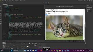 Task 1 HTML