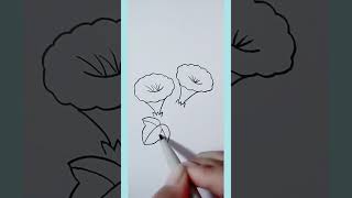 Learn How to draw a petunia step by step