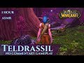 Vanilla Teldrassil Gameplay No Commentary Part 3 ASMR Vanilla Teldrassil Gameplay No Commentary Part 3 ASMR