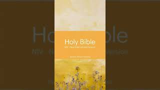 The Holy Bible - Genesis Chapter 10 (NIV)