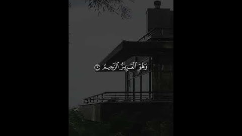 لله الأمر من قبل ومن بعد سورة الروم الشيخ ياسر الدوسري