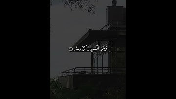لله الأمر من قبل ومن بعد سورة الروم الشيخ ياسر الدوسري
