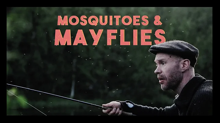 Mosquitoes & Mayflies | EP2 | The Act Of Killing Trout