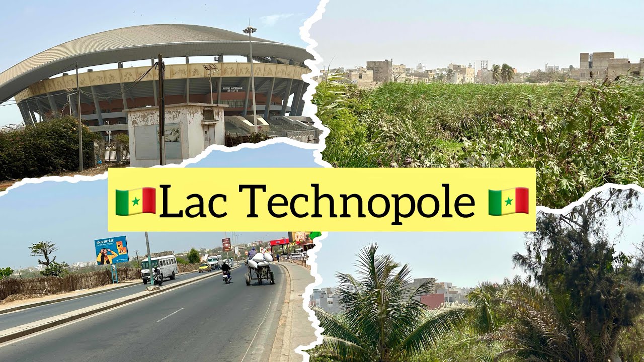 Lac du Technopole devrait beaucoup nous servir regardez #senegal #dakar #shortsvideos #diaspora 