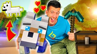 видео: МАЙНКРАФТ, НО ВСЕКИ MOB МИ Е ДОМАШЕН ЛЮБИМЕЦ | INVENTORY PETS: ЕПИЗОД 6 картинка: МАЙНКРАФТ, НО ВСЕКИ MOB МИ Е ДОМАШЕН ЛЮБИМЕЦ | INVENTORY PETS: ЕПИЗОД 6