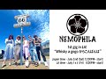 【NEMOPHILA】1st gig in LA! “Whisky a gogoからこんばんは”