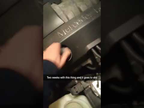 W210 blows head gasket