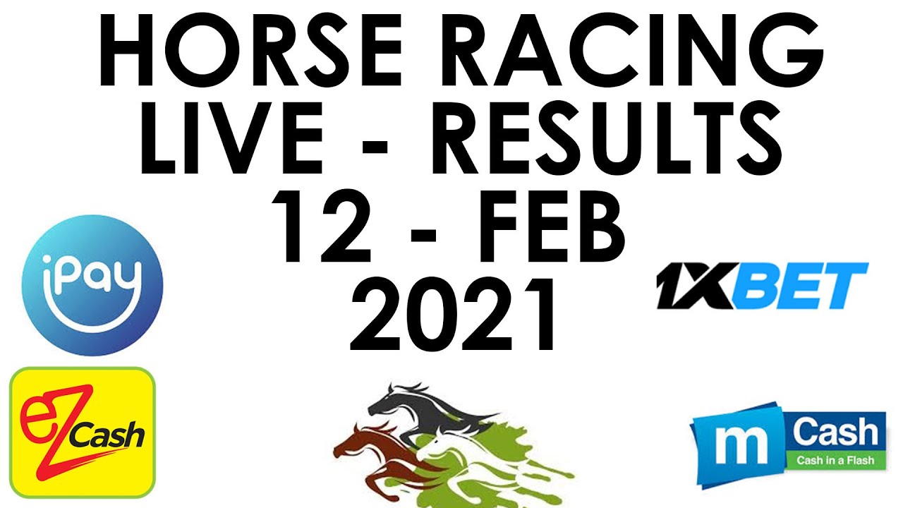 Horse Racing Results , Live 12 February 2021 YouTube