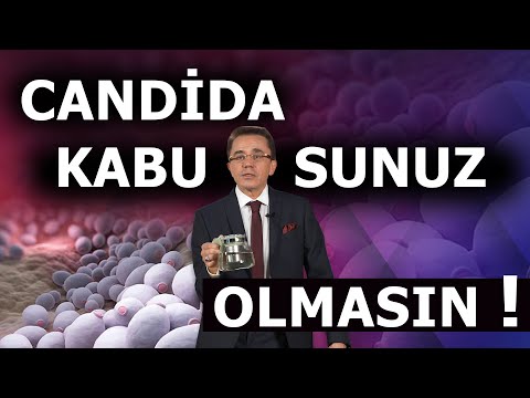 CANDİDA MANTARI NEDİR, NE İYİ GELİR?