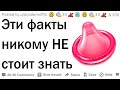 Не смотри это видео если ты тупой!