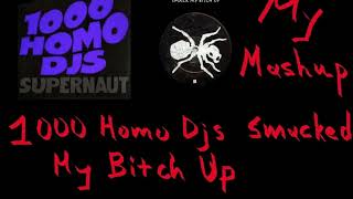 1000 Homo DJ's smacked my bitch up - My mashup
