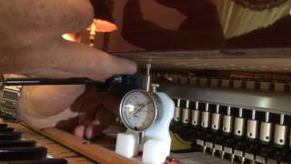 WNG Keybedding