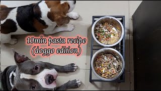 10 min Pasta recipe(for dogs) #recipe #food #vlog #dogs