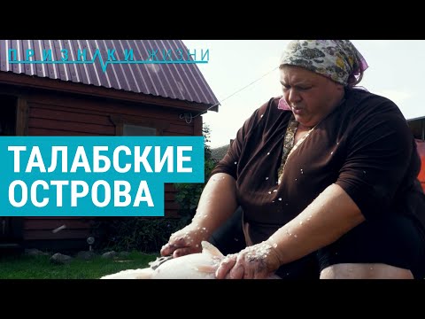 Последние 150 жителей Талабских островов | ПРИЗНАКИ ЖИЗНИ