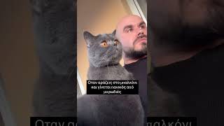 Οταν αράζεις στο μπαλκόνι κα γίνεται πανικός από μυρωδιές 😂 #κατοικιδια