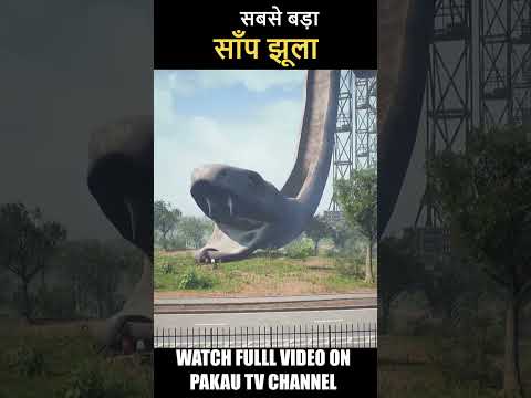 सबसे बड़ा साँप झूला #shorts  | Hindi Comedy | Pakau TV Channel