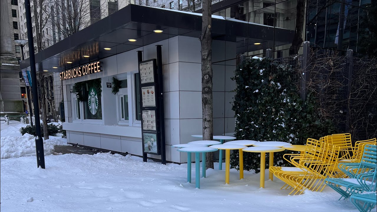 В Америке сильный снегопад.