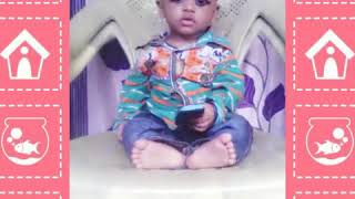 Sukhwasavatiya hogail