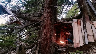 I found and repaired an old wood house in forest.and Spend a night in it. Oldest pine forest.