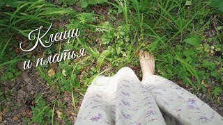 Видео В ПЛАТЬЕ В ЛЕС БЕЗ КЛЕЩЕЙ Как ходить в платье по лесу и не собирать клещей? (автор: Путеводная Нить)