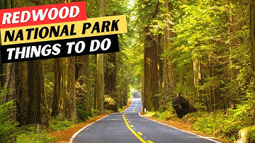 20 AMAZING Things To Do In Redwood National Park | Redwood National and State Parks Travel Guide