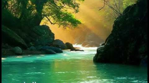 Thumbnail of GRACIAS SEÑOR JOAN SEBASTIÁN CON LETRAS