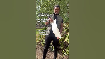 YouTube creates the algorithm for YOU..