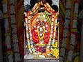 Jay Maa Magala 