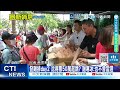【每日必看】發雞排day2 沈得票50萬起跳? 謝寒冰:也不會當選 20260522