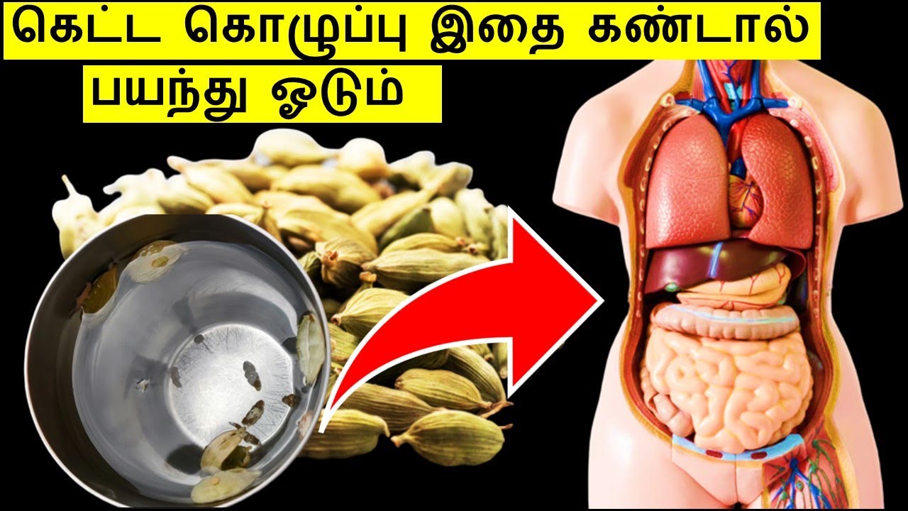 ஏலக்காய் தண்ணீர் மருத்துவம் Cardamom Water Benefits in Tamil YouTube