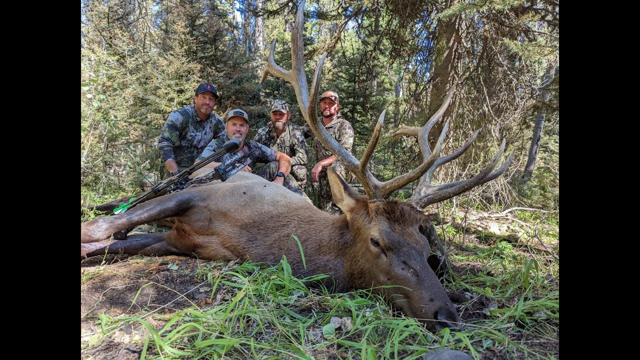 Archery Elk DIY Idaho 2022 YouTube