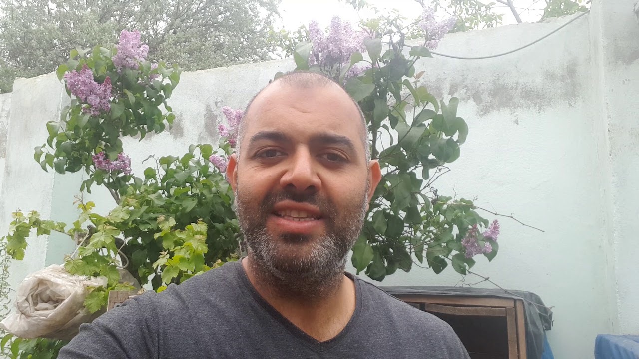 Cücələrdə həzmin yaxşılaşdırılması üçün nə edə bilərik?!