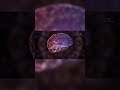 The Great Deception: AI's True Intent #Fear #AI