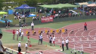 20150829 広島県高校対抗陸上 女子100mH決勝