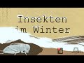 ABENTEUER INSEKTENWELT (2) -  Insekten im Winter