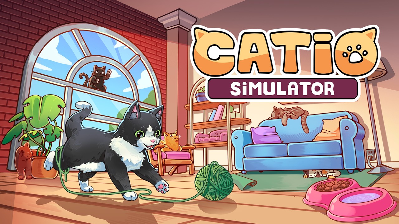 Catio Simulator