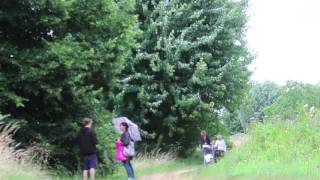 Guildford Soundscapes - Meadow Frequencies