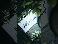سيبتك كاميليا