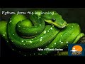 #PythonInTamil # 35 | #LambdaFunctions | #PythonProgrammingInTamil