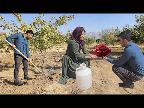 على طريق التقدم جهد زوجين شابين هل يستطيعان شراء أرض أحلامهما