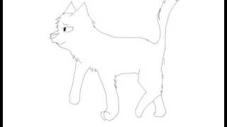 Cat Walk cycle