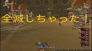 ドラクエ10 Ver4 3 のらねこゲーム Thewikihow
