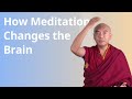 How Meditation Changes the Brain with Yongey Mingyur Rinpoche