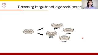 Measurements of Physiological Stress Responses in C. elegans
