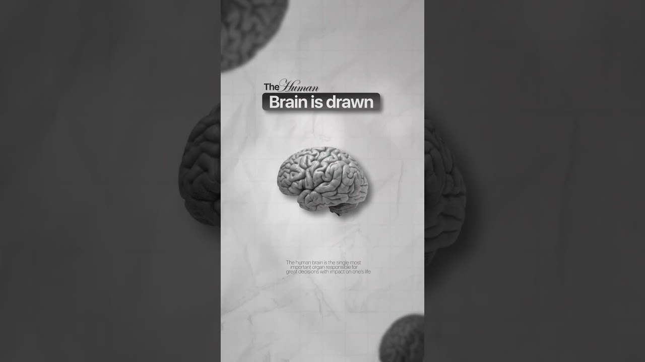 Motion Graphics Animation